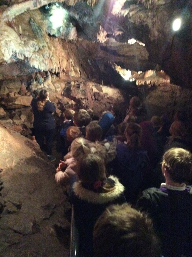 Image of Cranesbill visit Kents Cavern 